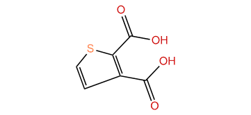 2,3-Thiophenedicarboxylic acid